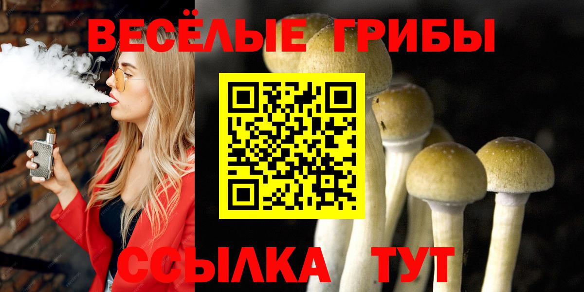 Галлюциногенные грибы Cubensis  Вход с VPN  Краснодар 
