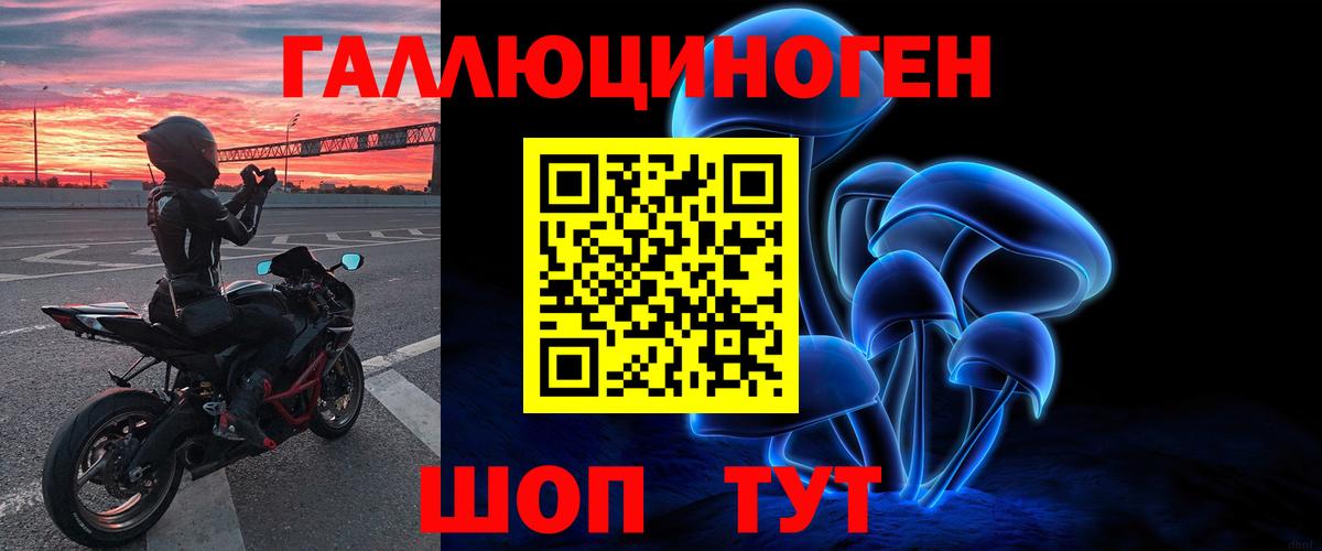 Псилоцибиновые грибы Psilocybine cubensis Краснодар